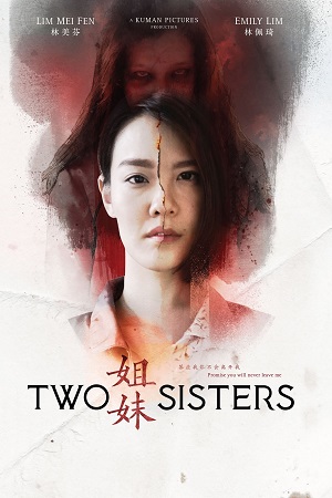 Download Two Sisters (2019) WEB-DL Dual Audio {Hindi-Chinese}